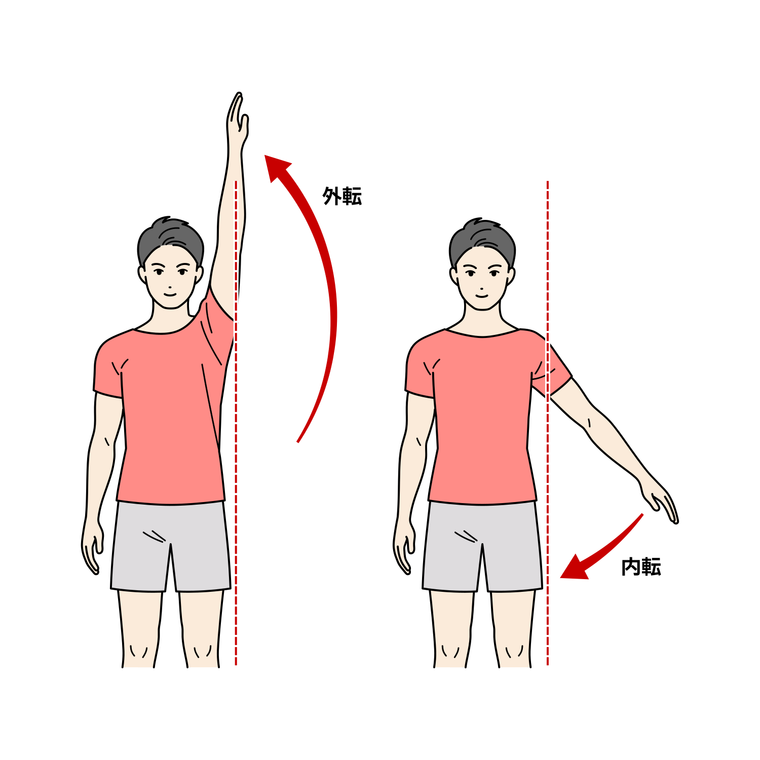 肩関節の外転・内転のイラスト（成人男性）