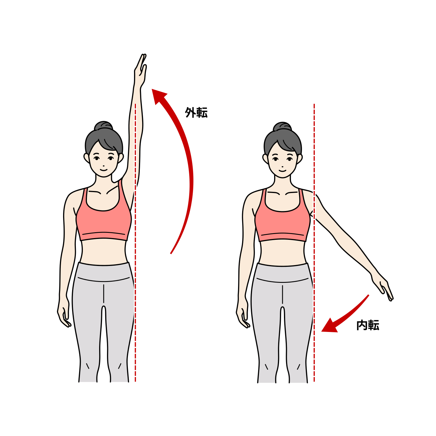 肩関節の外転・内転のイラスト（成人女性）