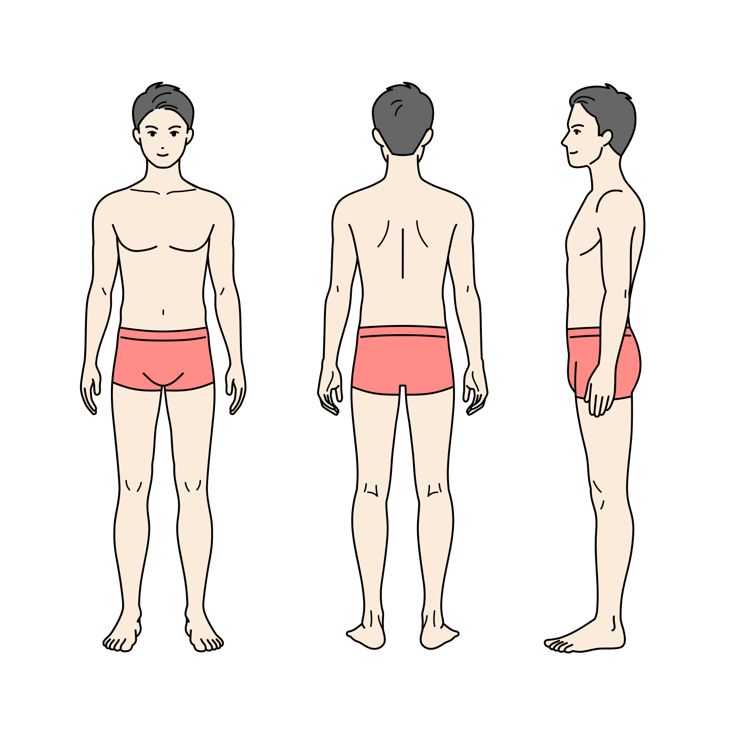 標準体型の大人の男性の全身イラスト（下着）