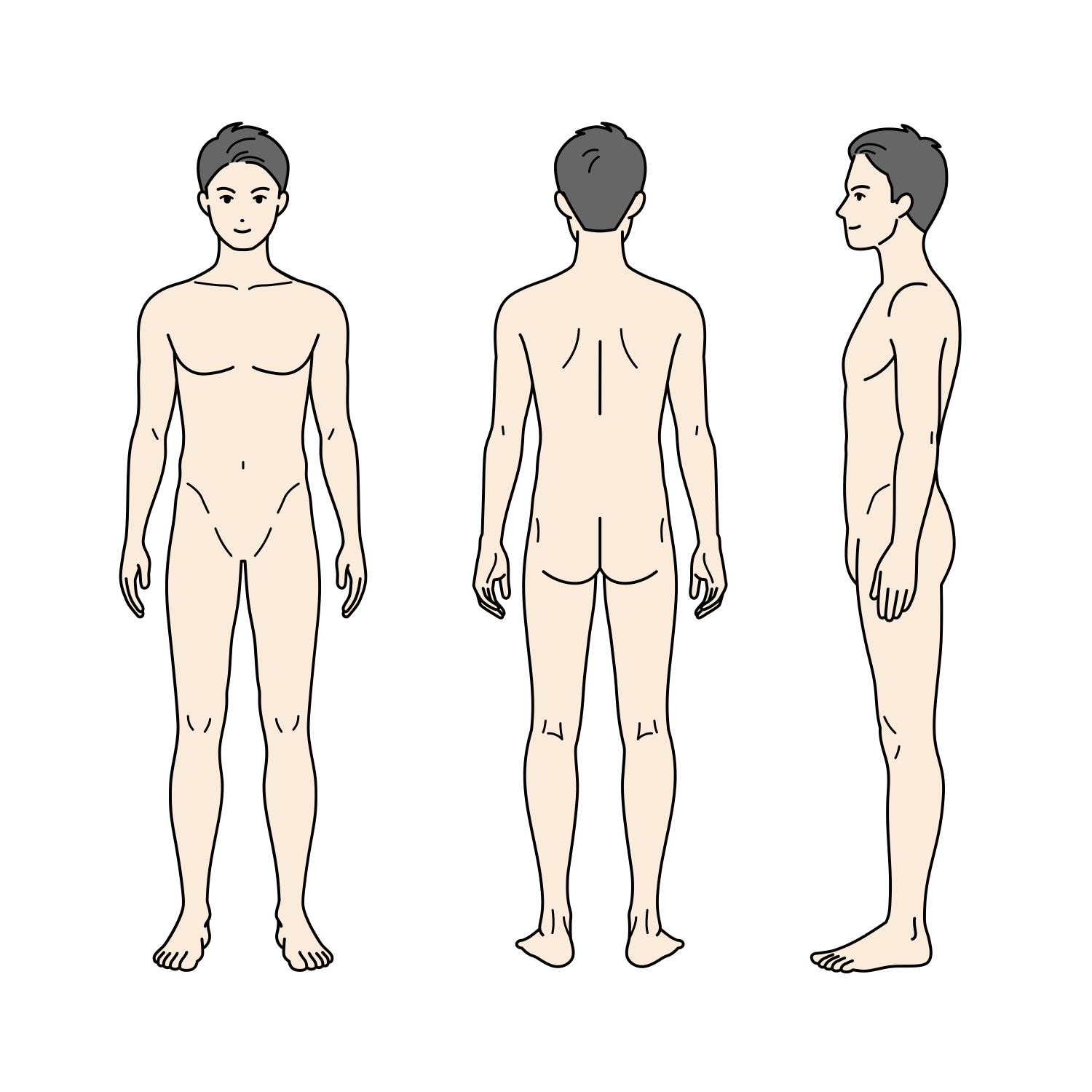 標準体型の大人の男性の全身イラスト（全裸）